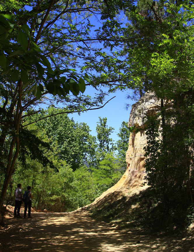 Pinède du Colorado Provençal