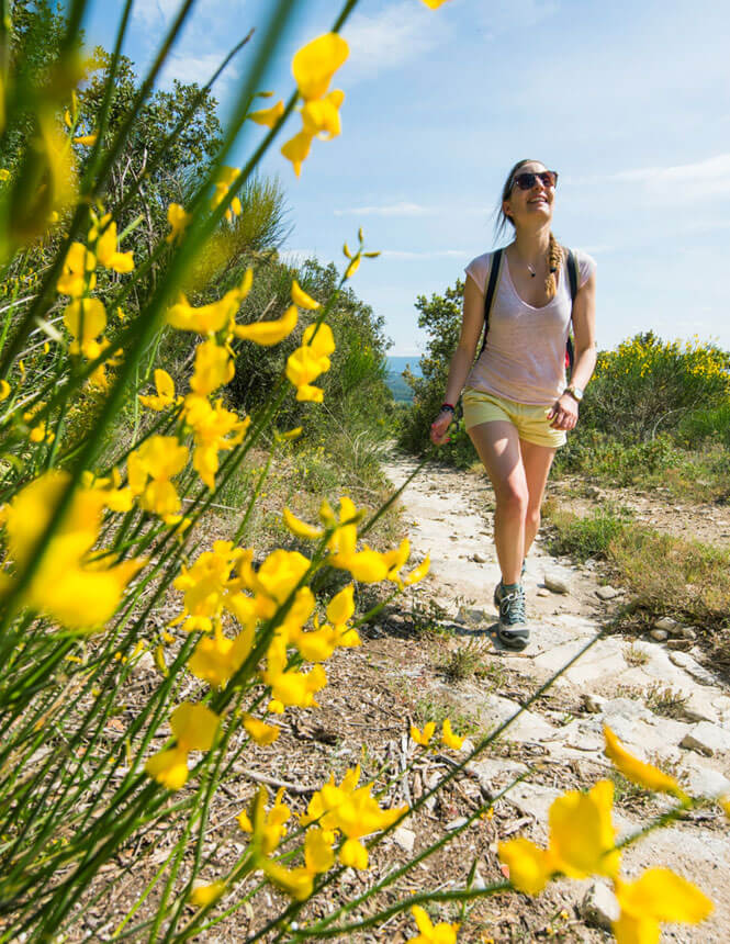  Wandelen in Vaucluse