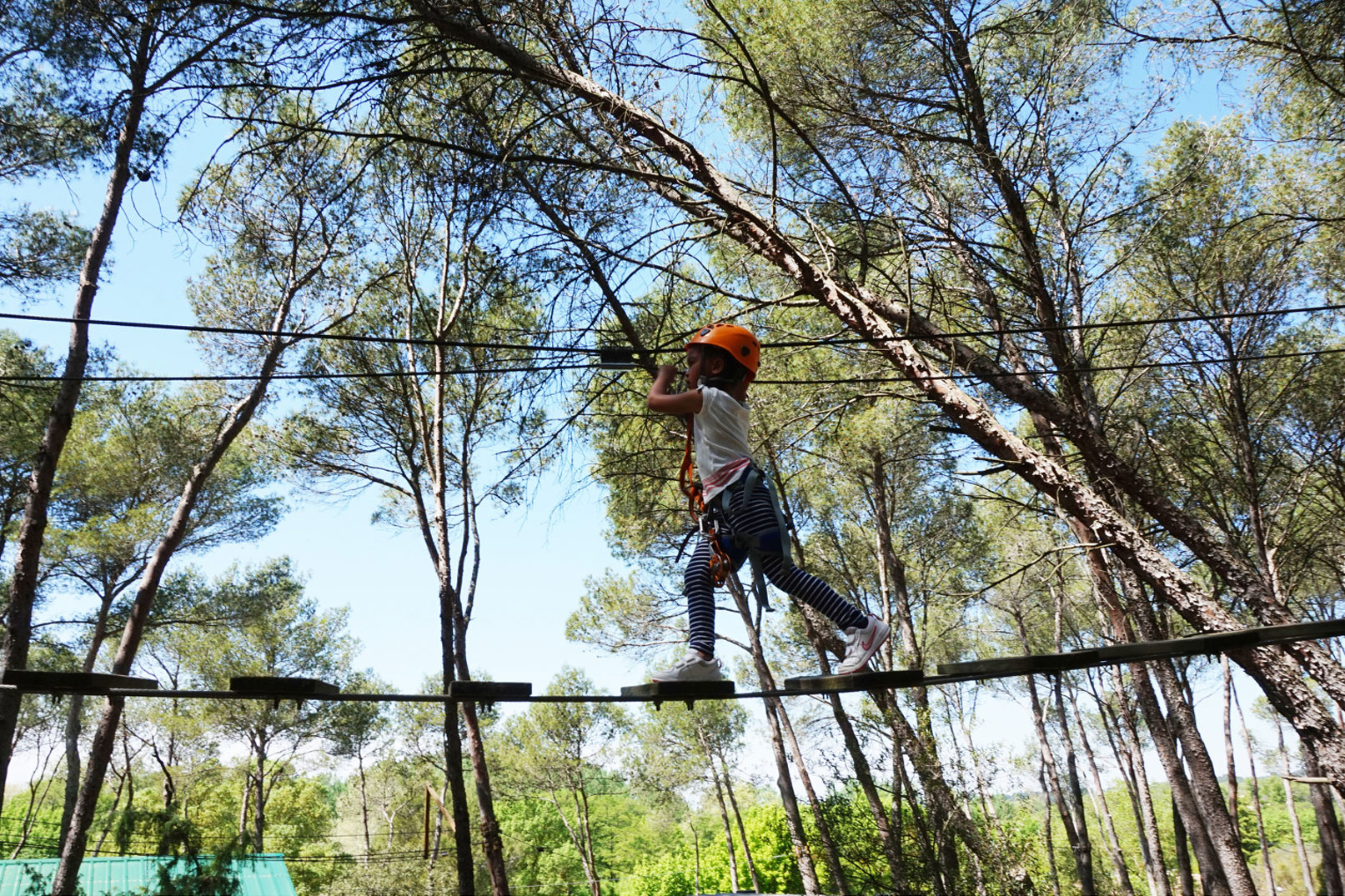 Parcours forestier en Provence @ Storm