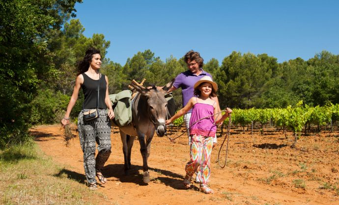 Balades avec les ânes en Provence @ Cintas Florès