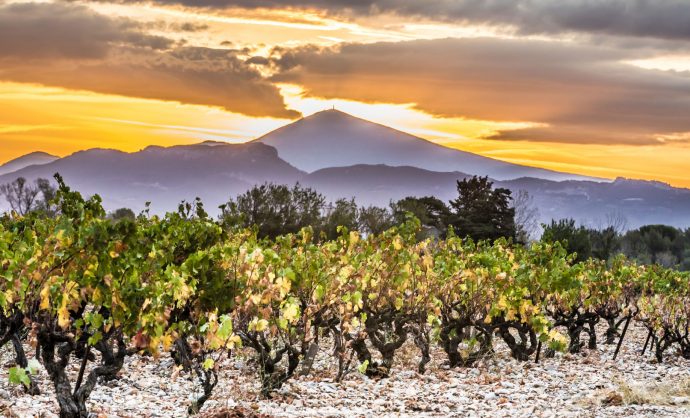 Vignobles de la vallée du Rhône - Kessler