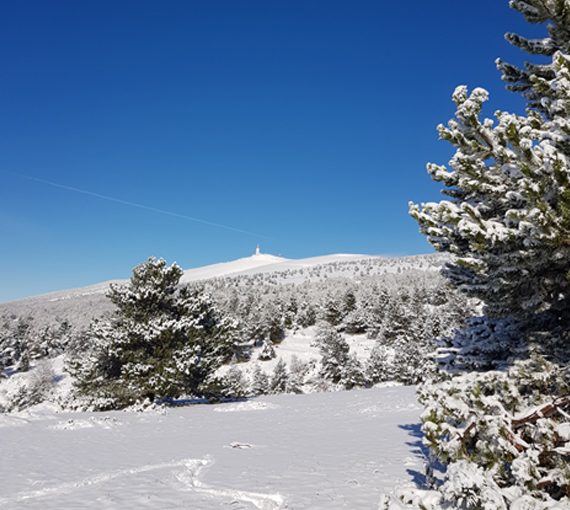 Sneeuw op de Mont Ventoux