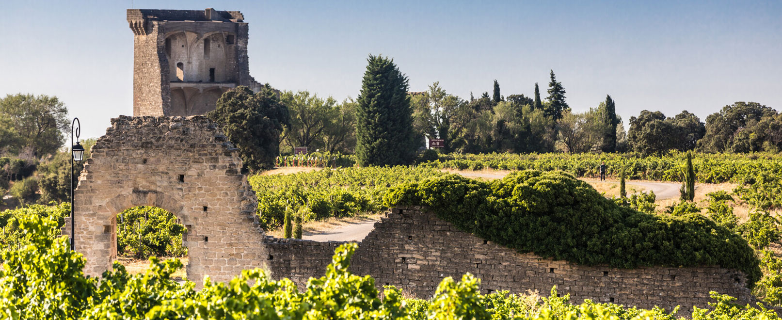 chateauneuf-du-Pape-Kessler