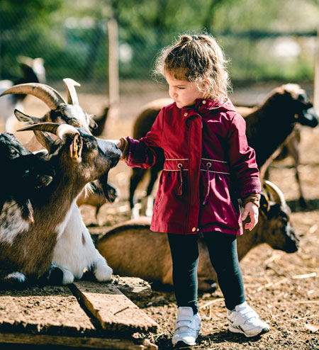 Dichterbij de dieren