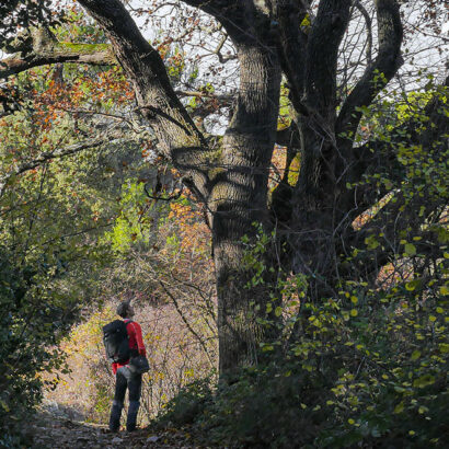 Wandeling Het oude klooster van Prébayon